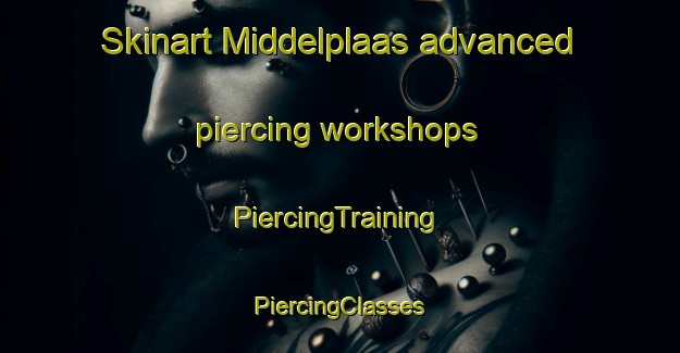 Skinart Middelplaas advanced piercing workshops | #PiercingTraining #PiercingClasses #SkinartTraining-South Africa