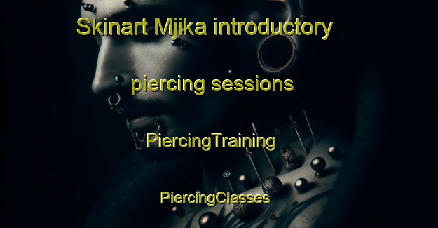 Skinart Mjika introductory piercing sessions | PiercingTraining | PiercingClasses | SkinartTraining-South Africa