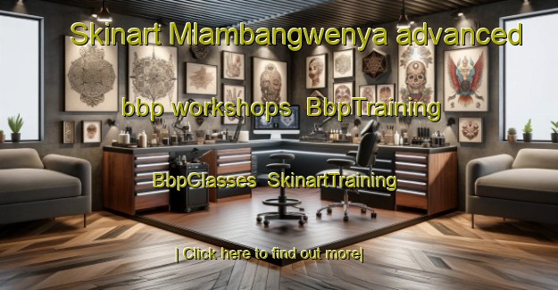 Skinart Mlambangwenya advanced bbp workshops | BbpTraining | BbpClasses | SkinartTraining-South Africa