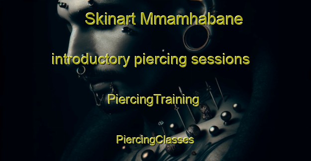 Skinart Mmamhabane introductory piercing sessions | #PiercingTraining #PiercingClasses #SkinartTraining-South Africa