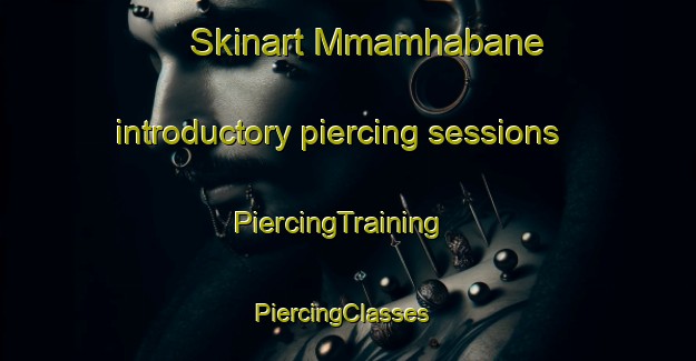 Skinart Mmamhabane introductory piercing sessions | PiercingTraining | PiercingClasses | SkinartTraining-South Africa