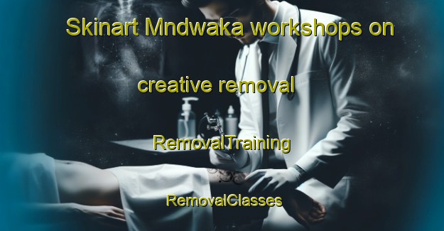 Skinart Mndwaka workshops on creative removal | RemovalTraining | RemovalClasses | SkinartTraining-South Africa