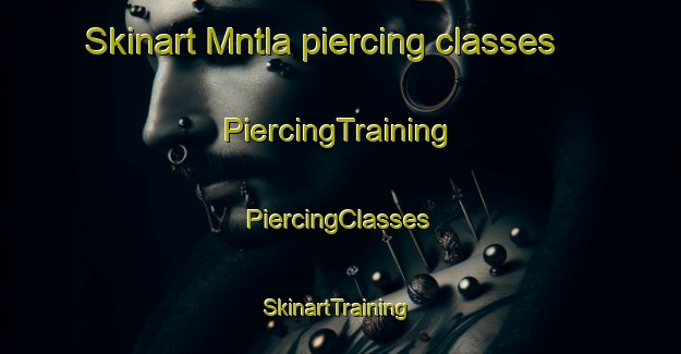 Skinart Mntla piercing classes | #PiercingTraining #PiercingClasses #SkinartTraining-South Africa