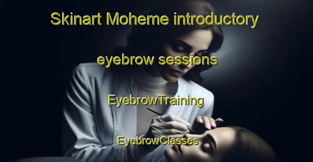 Skinart Moheme introductory eyebrow sessions | EyebrowTraining | EyebrowClasses | SkinartTraining-South Africa