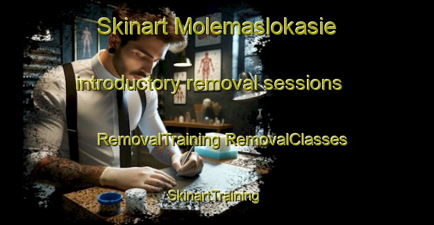 Skinart Molemaslokasie introductory removal sessions | #RemovalTraining #RemovalClasses #SkinartTraining-South Africa