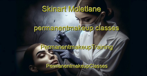 Skinart Moletlane permanentmakeup classes | #PermanentmakeupTraining #PermanentmakeupClasses #SkinartTraining-South Africa