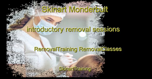 Skinart Monderbult introductory removal sessions | #RemovalTraining #RemovalClasses #SkinartTraining-South Africa