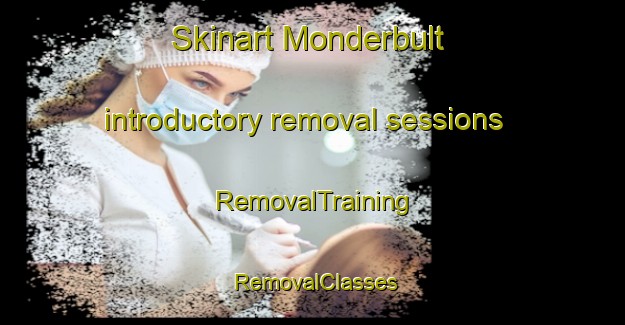 Skinart Monderbult introductory removal sessions | RemovalTraining | RemovalClasses | SkinartTraining-South Africa