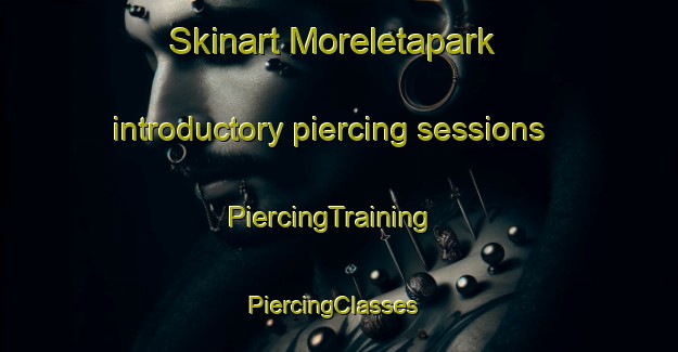 Skinart Moreletapark introductory piercing sessions | PiercingTraining | PiercingClasses | SkinartTraining-South Africa