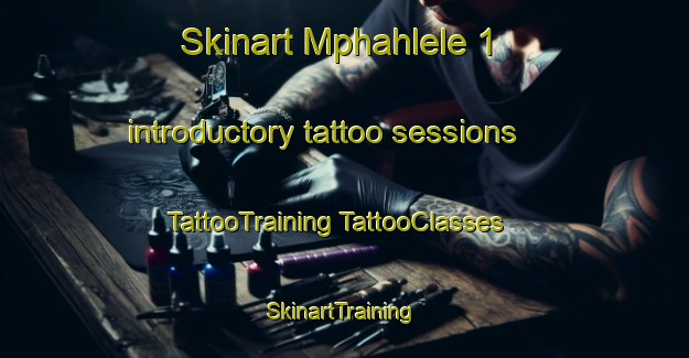 Skinart Mphahlele 1 introductory tattoo sessions | #TattooTraining #TattooClasses #SkinartTraining-South Africa