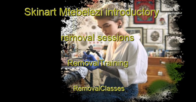Skinart Mtebelezi introductory removal sessions | RemovalTraining | RemovalClasses | SkinartTraining-South Africa