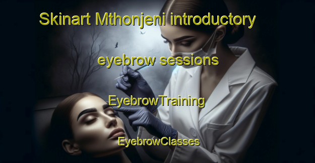 Skinart Mthonjeni introductory eyebrow sessions | EyebrowTraining | EyebrowClasses | SkinartTraining-South Africa