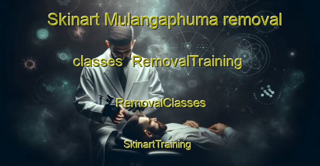 Skinart Mulangaphuma removal classes | RemovalTraining | RemovalClasses | SkinartTraining-South Africa