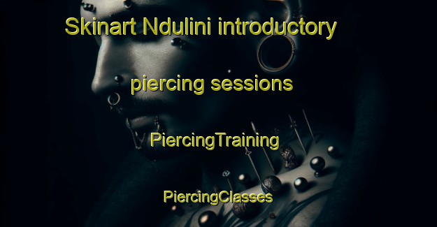 Skinart Ndulini introductory piercing sessions | #PiercingTraining #PiercingClasses #SkinartTraining-South Africa