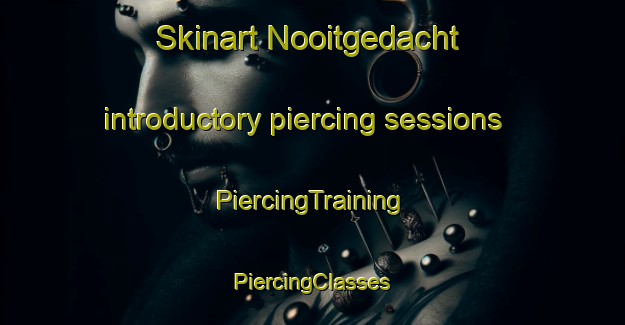 Skinart Nooitgedacht introductory piercing sessions | #PiercingTraining #PiercingClasses #SkinartTraining-South Africa