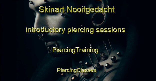 Skinart Nooitgedacht introductory piercing sessions | PiercingTraining | PiercingClasses | SkinartTraining-South Africa