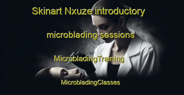 Skinart Nxuze introductory microblading sessions | MicrobladingTraining | MicrobladingClasses | SkinartTraining-South Africa