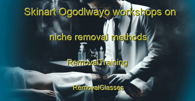 Skinart Ogodlwayo workshops on niche removal methods | RemovalTraining | RemovalClasses | SkinartTraining-South Africa