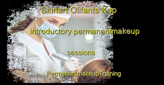 Skinart Olifants Kop introductory permanentmakeup sessions | PermanentmakeupTraining | PermanentmakeupClasses | SkinartTraining-South Africa