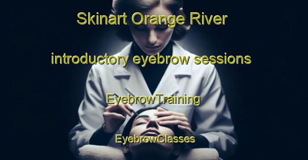 Skinart Orange River introductory eyebrow sessions | EyebrowTraining | EyebrowClasses | SkinartTraining-South Africa