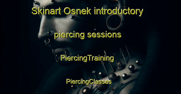 Skinart Osnek introductory piercing sessions | PiercingTraining | PiercingClasses | SkinartTraining-South Africa