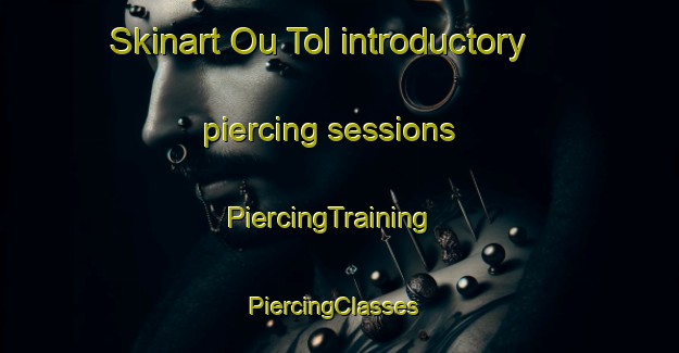 Skinart Ou Tol introductory piercing sessions | PiercingTraining | PiercingClasses | SkinartTraining-South Africa
