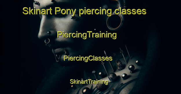 Skinart Pony piercing classes | PiercingTraining | PiercingClasses | SkinartTraining-South Africa