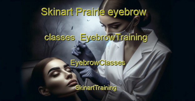 Skinart Prairie eyebrow classes | EyebrowTraining | EyebrowClasses | SkinartTraining-South Africa