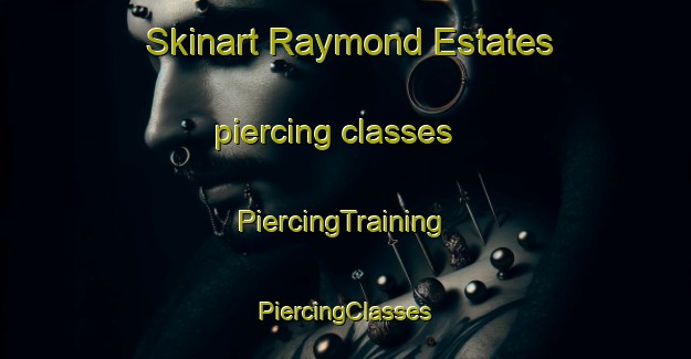 Skinart Raymond Estates piercing classes | #PiercingTraining #PiercingClasses #SkinartTraining-South Africa