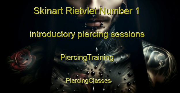 Skinart Rietvlei Number 1 introductory piercing sessions | PiercingTraining | PiercingClasses | SkinartTraining-South Africa