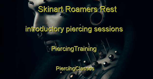 Skinart Roamers Rest introductory piercing sessions | PiercingTraining | PiercingClasses | SkinartTraining-South Africa