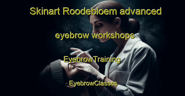 Skinart Roodebloem advanced eyebrow workshops | EyebrowTraining | EyebrowClasses | SkinartTraining-South Africa