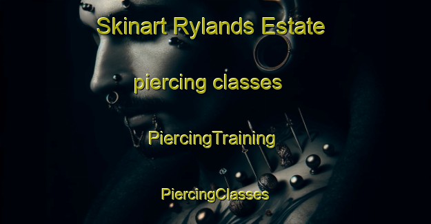 Skinart Rylands Estate piercing classes | #PiercingTraining #PiercingClasses #SkinartTraining-South Africa