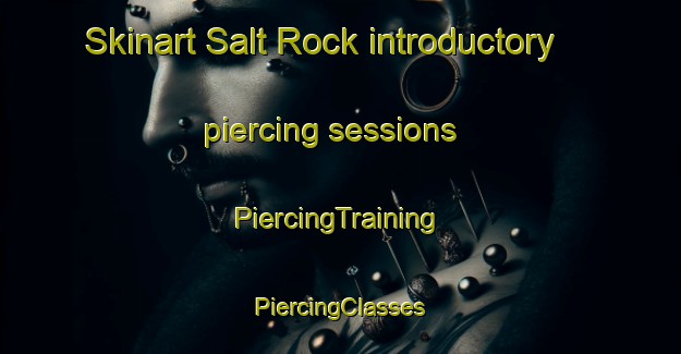 Skinart Salt Rock introductory piercing sessions | #PiercingTraining #PiercingClasses #SkinartTraining-South Africa