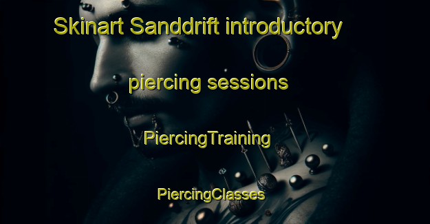 Skinart Sanddrift introductory piercing sessions | PiercingTraining | PiercingClasses | SkinartTraining-South Africa