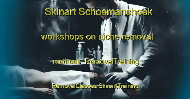 Skinart Schoemanshoek workshops on niche removal methods | #RemovalTraining #RemovalClasses #SkinartTraining-South Africa