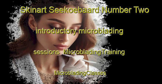 Skinart Seekoebaard Number Two introductory microblading sessions | MicrobladingTraining | MicrobladingClasses | SkinartTraining-South Africa