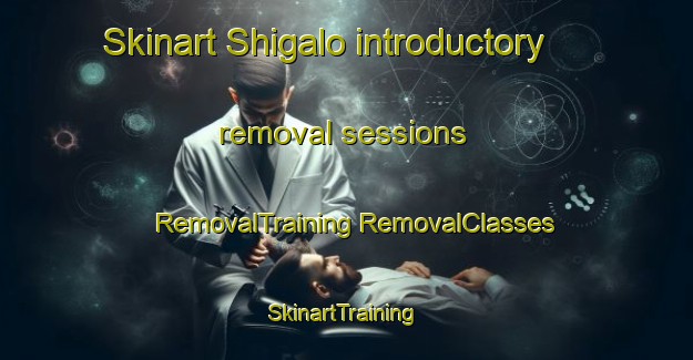 Skinart Shigalo introductory removal sessions | #RemovalTraining #RemovalClasses #SkinartTraining-South Africa