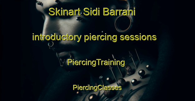 Skinart Sidi Barrani introductory piercing sessions | #PiercingTraining #PiercingClasses #SkinartTraining-South Africa