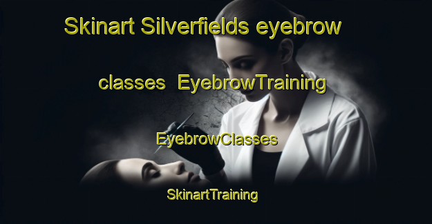 Skinart Silverfields eyebrow classes | EyebrowTraining | EyebrowClasses | SkinartTraining-South Africa