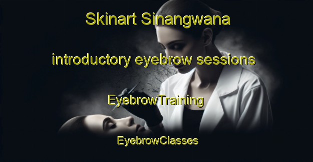 Skinart Sinangwana introductory eyebrow sessions | EyebrowTraining | EyebrowClasses | SkinartTraining-South Africa
