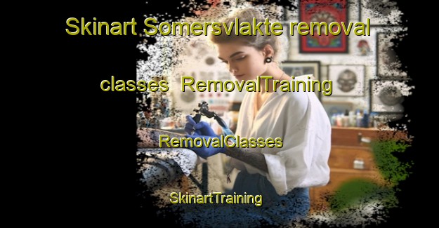 Skinart Somersvlakte removal classes | RemovalTraining | RemovalClasses | SkinartTraining-South Africa