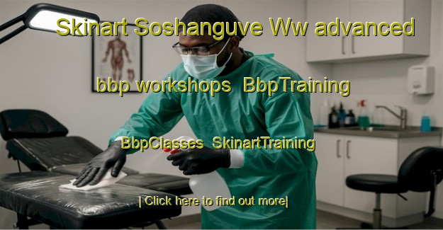 Skinart Soshanguve Ww advanced bbp workshops | BbpTraining | BbpClasses | SkinartTraining-South Africa