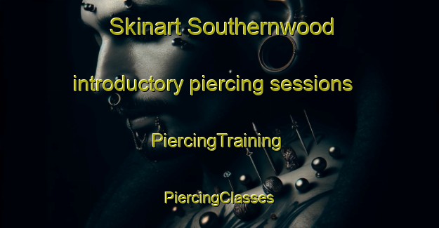 Skinart Southernwood introductory piercing sessions | #PiercingTraining #PiercingClasses #SkinartTraining-South Africa