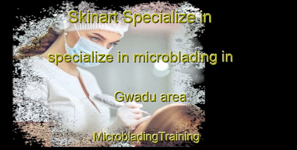 Skinart Specialize in specialize in microblading in Gwadu area | #MicrobladingTraining #MicrobladingClasses #SkinartTraining-South Africa