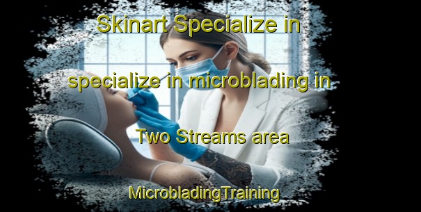 Skinart Specialize in specialize in microblading in Two Streams area | MicrobladingTraining | MicrobladingClasses | SkinartTraining-South Africa