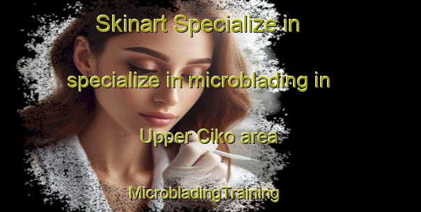 Skinart Specialize in specialize in microblading in Upper Ciko area | MicrobladingTraining | MicrobladingClasses | SkinartTraining-South Africa