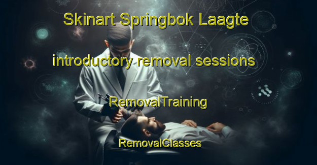 Skinart Springbok Laagte introductory removal sessions | RemovalTraining | RemovalClasses | SkinartTraining-South Africa