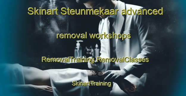 Skinart Steunmekaar advanced removal workshops | #RemovalTraining #RemovalClasses #SkinartTraining-South Africa