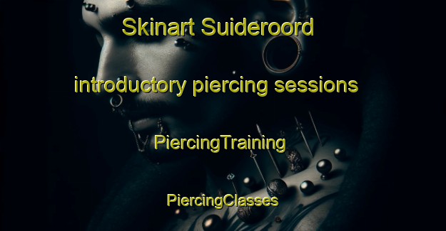 Skinart Suideroord introductory piercing sessions | #PiercingTraining #PiercingClasses #SkinartTraining-South Africa